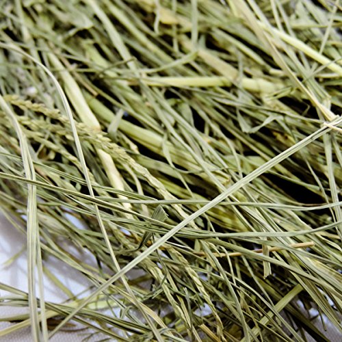 Thunder Acres Premium Teff Grass Hay, for Rabbits, Guinea Pigs, and