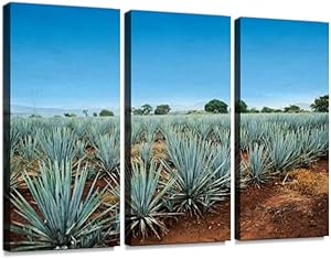 Tequila Landscape 3 Pieces Print On Canvas Wall Artwork Modern Photography Home Decor Unique Pattern Stretched and Framed 3 Piece