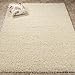 Cozy Shag Collection Cream Solid Shag Rug (3'3