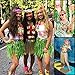 AnapoliZ Hawaiian Headband Flowers | (12 PCS Set) Tropical Head Leis | Luau Floral Headpiece | Flower Headdress Lei, Multi Color | Summer Party Favors