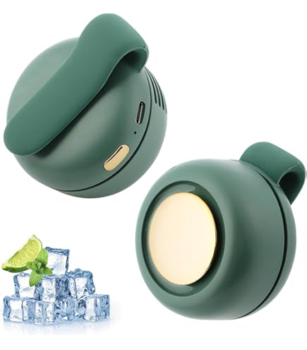 Amazon.com: Whirlwind Bladeless Mini Handheld Fan, Mini