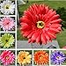 10x Silk Gerbera Daisy Artificial Flowers Bouquet Home Wedding Decoration