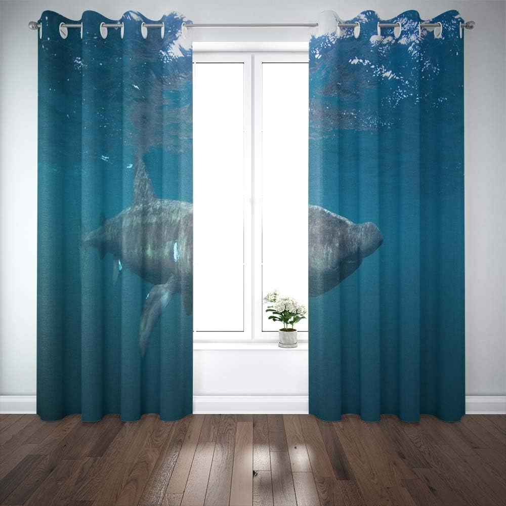 Shorping Window Curtains, Window Panels Sliding Blackout Curtains Shark Island Scotland Cetorhinus Maximus Coll Country Shower Curtain for Bedroom 52X63 Inches,2 Pc
