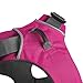 RUFFWEAR - Front Range, Everyday No Pull Dog Harness with Front Clip, Trail Running, Walking, Hiking, All-Day Wear, Alpenglow Pink (2016), Small