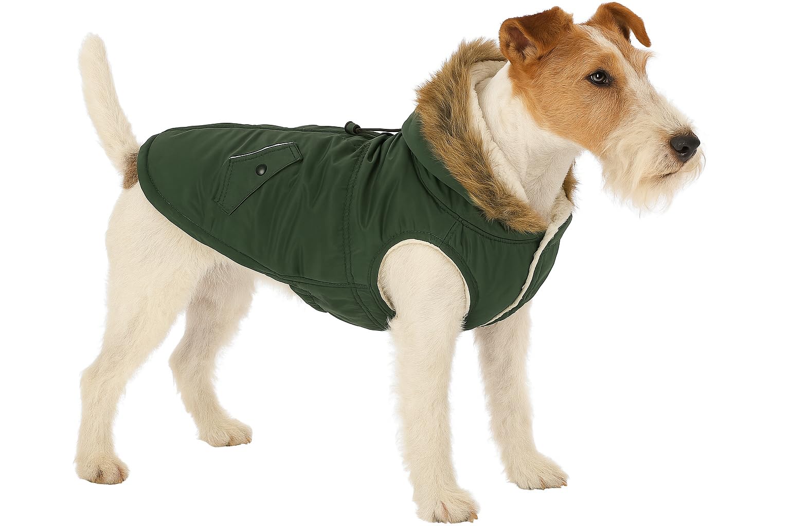 Flamingo WINTER COAT KIMO GREEN 40CM — image 1