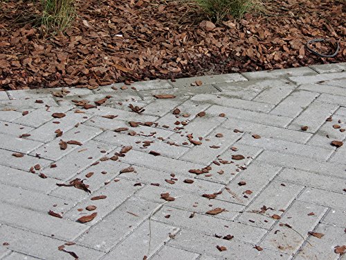 BLACK DIAMOND COATINGS INC. PRO Landscape Series Mulch Binder (1 Gallon, Red)