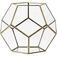 Serene Spaces Living Medium Clear Glass Honeycomb Candleholder, Measures 8 inches Tall, Sold Individually
