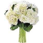 KaBloom - Beauty 6 White Hydrangeas without vase - Fresh Flowers for Birthday, Valentine's & Mother's Day