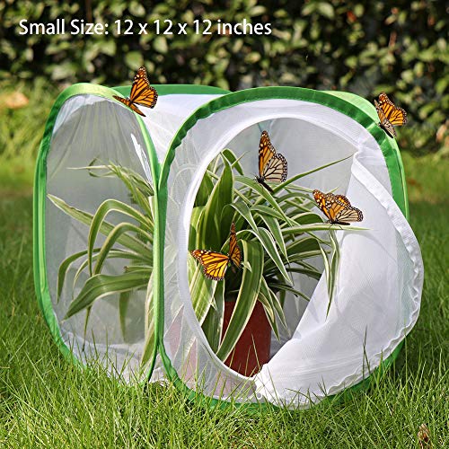 RESTCLOUD 3Pack Large Monarch Butterfly Habitat, Giant Collapsible