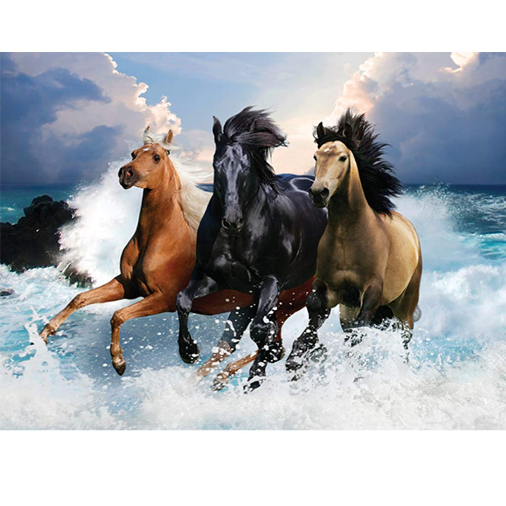 DCIDBEI Diamond Painting Kits for Adults 3 Horses Kitchen Decor Rhinestone Embroidery Cross Stitch Kits Supply Arts Craft Canvas Wall Decor Stickers Home Decor 40x30 cm