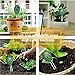 Lailieu Soil Moisture Meter for Garden Testing