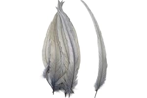 LWINGFLYER 50pcs Silver Gray Long Rooster Tail Feathers 13-16 Inches for Hat Costume Decoration Crafts