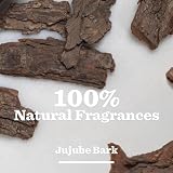 BULLDOG Anti-Dandruff Shampoo for Men 300ml Flake Free Scalp Jujube Bark view 4