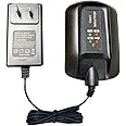 ANOPIW WA3742 Replace Worx Charger 20V WA3742 Compatible with Worx 20V Lithium Battery WA3520 WA3525 WA3578 WA3575 WA3522 WA3732 WA3770 WA3875 WA3881...