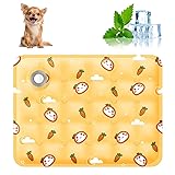 AIIONP Pet Cooling Mat, 2025 New Dog Cooling Mat
