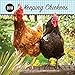 Keeping Chickens 2018: 16 Month Calendar Includes September 2017 Through December 2018 by 