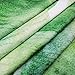 Banana Leaf Bathroom Shower Curtain Green Banana Palm Leaves Shower Curtains with 12 Hooks, Durable Bath Curtain Waterproof Bathroom Curtain