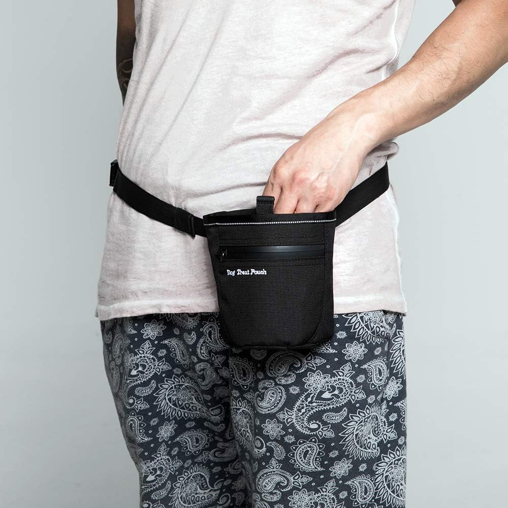 magnetic dog treat bag