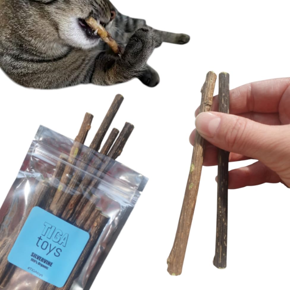 TIGA Toys 10 x Silvervine Sticks Actinidia Polygama Activity Cat Chew Sticks aka Matatabi (10 Sticks) Cat Nip alternative