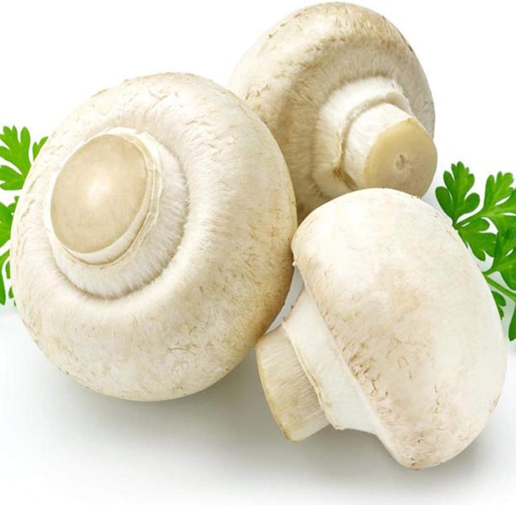 Foulon Seeds Home Gardening Delicious Vegetables Plant White Button Mushroom Seeds
