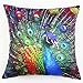 AWEHIRU Lydealife （TM） 18 X 18 Inch Decorative Throw Pillow Cover Cushion Case, Novel Design Colorful Peacock Series LD092