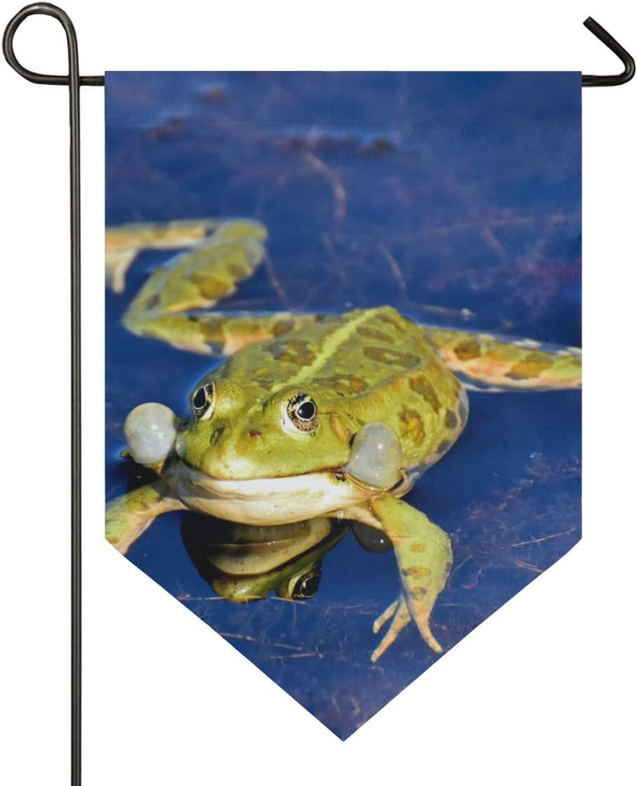 10 Mejores Anfibios Para Estanques De Jardín Ranas | (2020)