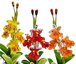WitnyStore Tiny 2" High 3 Pieces Set Yellow Red