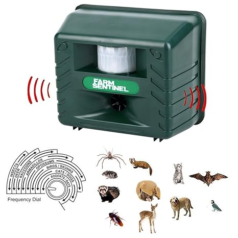 Amazon.com : QingYou Repel Animal Ultrasonic Outdoor Pest Repellent, Animal Pest Repeller Pest Control with Motion Detector Rodents, Cats, Rats, Mouse, ...