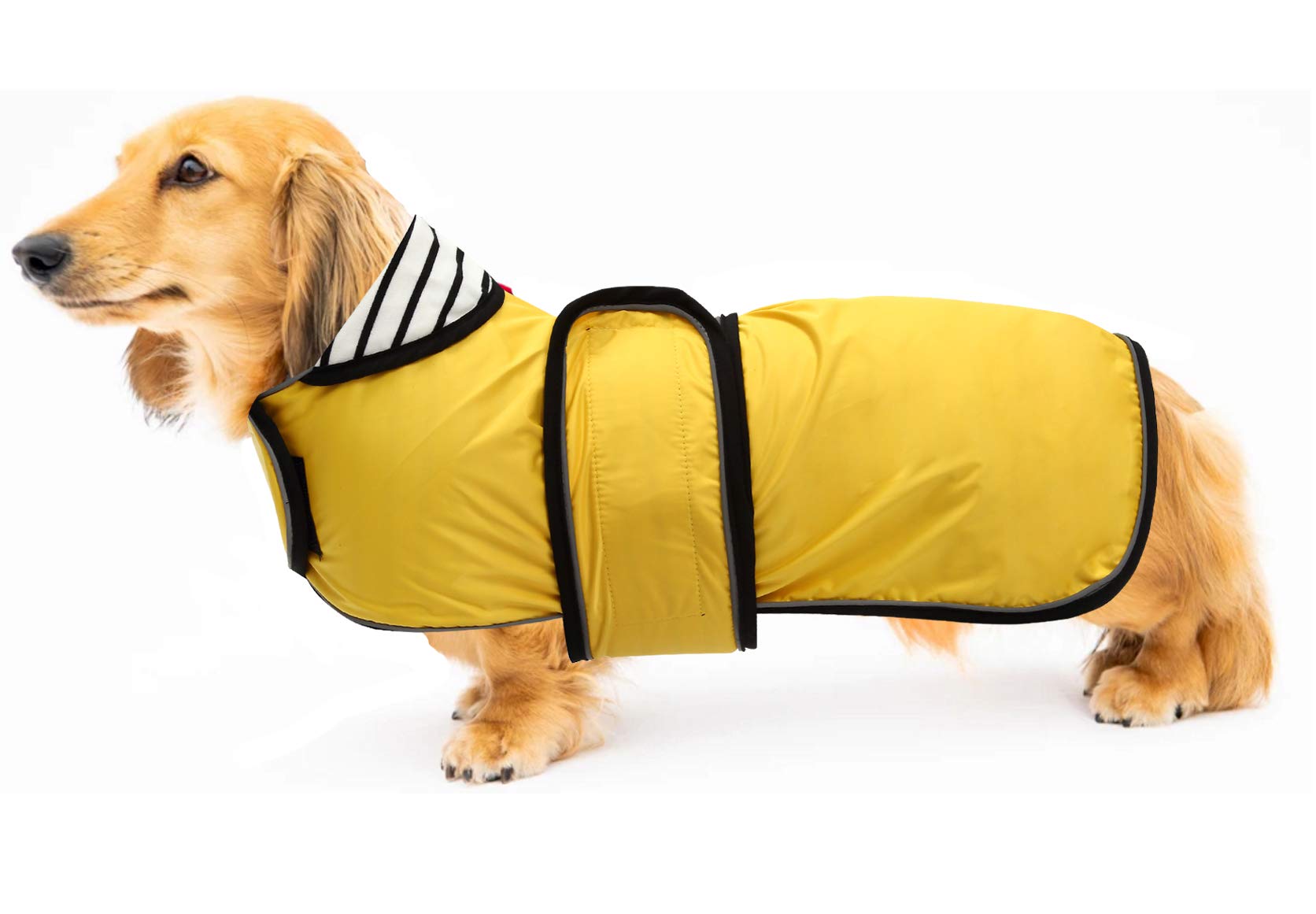 Geyecete Dog Jacket Adjustable， Lightweight Dachshund Raincoat with Reflective Straps and Harness Hole， Best Gift for Dachshund -Yellow -L