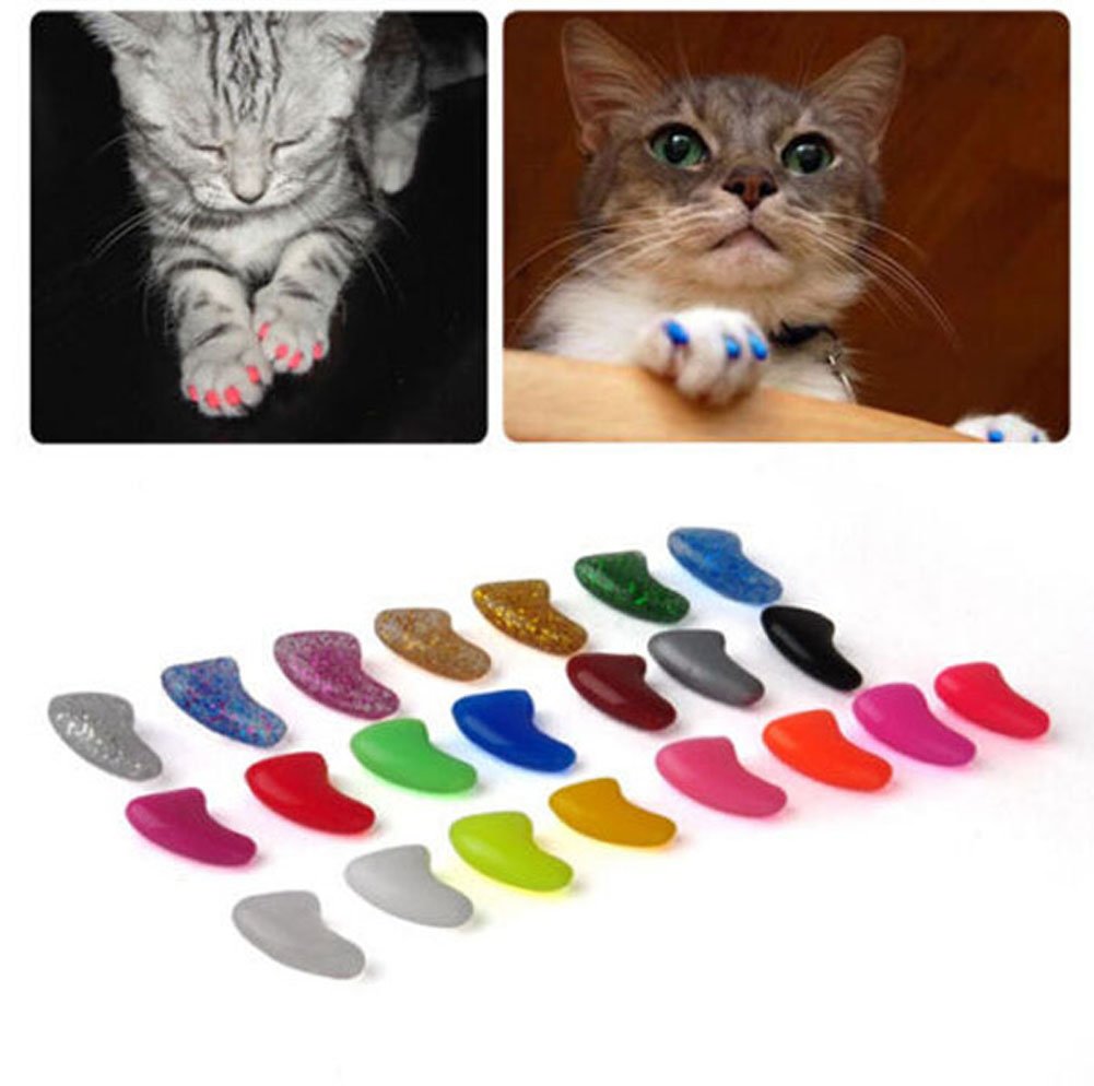 Are Claw Caps Comfortable For Cats at Robert Leboeuf blog