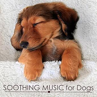 zen music for dogs