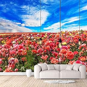 Wall Murals for Bedroom Beautiful Pictures Collection Removable Wallpaper Peel and Stick Wall Stickers - 66x96 inches