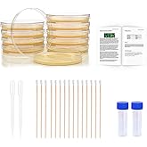 Bacteria Science Kit Petri Dishes with Agar and Swabs | Top Science Fair Project Bacteria Growing Kit | Prepoured LB-Agar Plates and Cotton Swabs | STEM for Kids Aged 6 7 8 9 10 Girls Boys Gifts