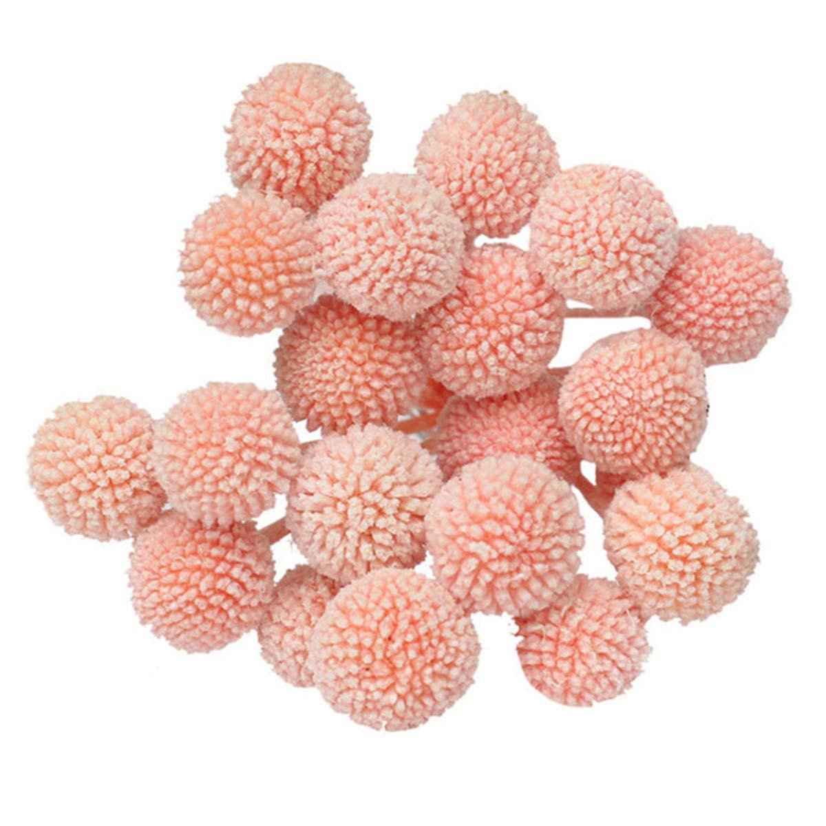 INVISIKAYAK Craspedia globosa Material Flower Immortal Eternal Flowers Gift (light pink, 40pcs)