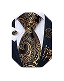 DiBanGu Mens Tie and Lapel Pin Set Silk Plaid Solid