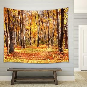 Beautiful Landscape - Road in Autumn Forest - Fabric Wall Tapestry Home Decor - 51x60 inches