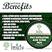 TreeActiv Face Exfoliating Acne Scrub Pads | Best Natural Blackhead Clearing Treatment | Safely Extracts and Removes Blackheads | Prevents Future Breakouts | Men Women Teens (4 oz)