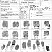 Fingerprint Cards, Applicant FD-258, 25 Pack