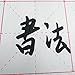 FancyWolf Chinese Calligraphy Set Rewritable Water Writing Cloth Fabric with Brush Rack and Water Dish Quick Drying Fabric Cloth Paper for Beginners Practice Set (5 Items)