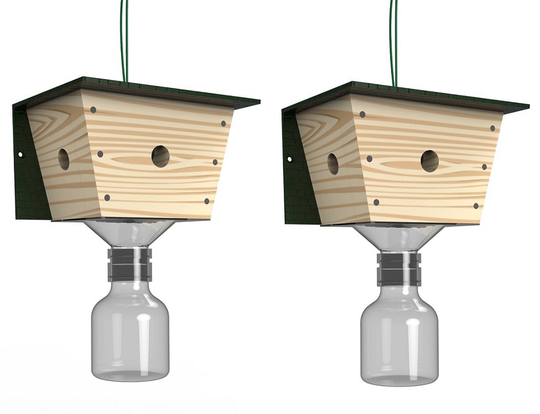 Best Bee Brothers Carpenter Bee Trap 2 pack