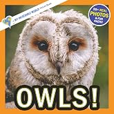 Owls!: A My Incredible World Picture Book for Children (My Incredible World: Nature and Animal Picture Books for Children)