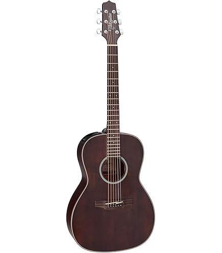 Amazon.com: PRS Paul Reed Smith 6 String SE Parlor P20 Acoustic