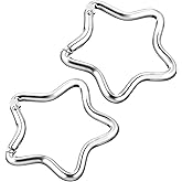 2Pcs Silver Star Shaped Carabiner Keychains, Aluminum Heavy Duty Spring Snap Hook with Key Rings, Outdoor Accessories for Camping, Hiking, Fishing, Fits Keys & Wallet, Key Holder Clip (1.9 Inch)