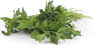 Organic Italian Parsley, 1 Bunch