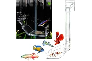 KUNZE LAND Shrimp Fish Feeding Dish, Aquarium -Sky Restaurant- Betta Feeding - Prevent Food Spilling, Fish Feeder, Also Easy to Clean Up The Food Left Over, African Feeding, Dwarf Frogs Feeding (L)