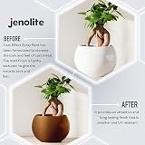 Jenolite Cast Bronze Spray Paint 400ml Textured Multi Surface Finish view 5