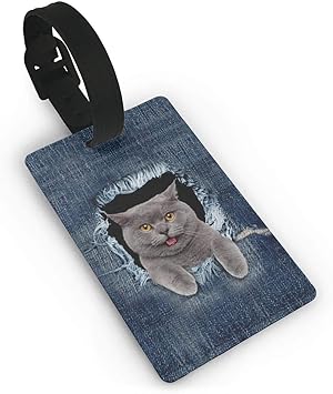 Scarica Gratis Images Etiquette De Bagage Avec Carte D Identite Chat Humoristique Dans actualisé par