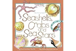 Seashells, Crabs and Sea Stars