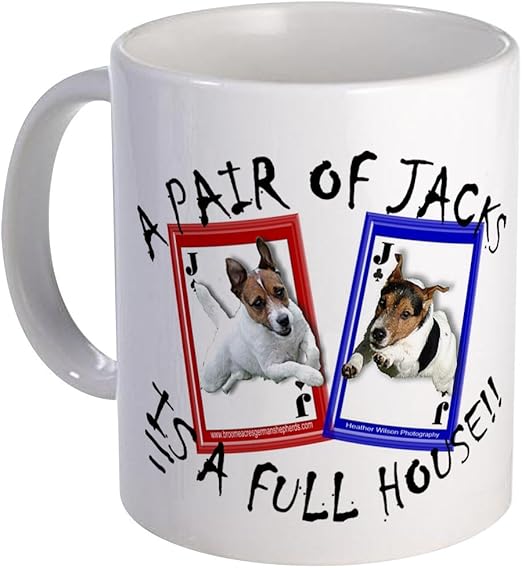 double ended dog training lead