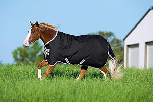 Horseware Ireland Amigo Stock Horse Turnout Medium 200g Black/Silver 76